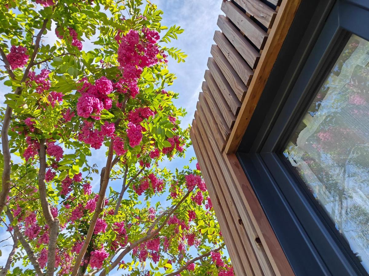La Cabane de Lili Prune Goudargues Extérieur photo